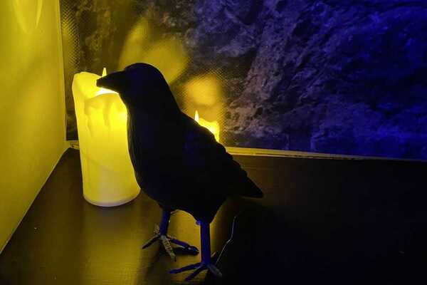 Поворот не туда